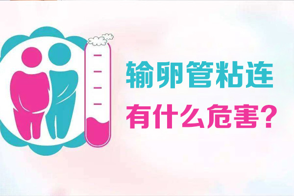输卵管粘连有什么危害(图1)
