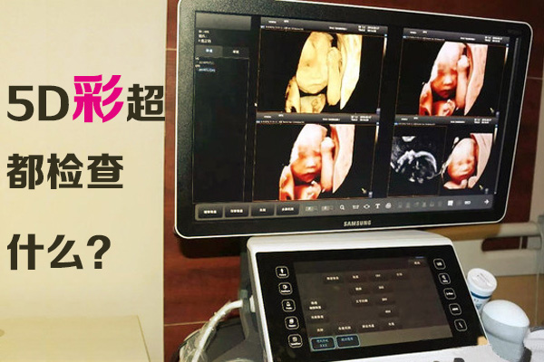 5D彩超都检查什么(图1)