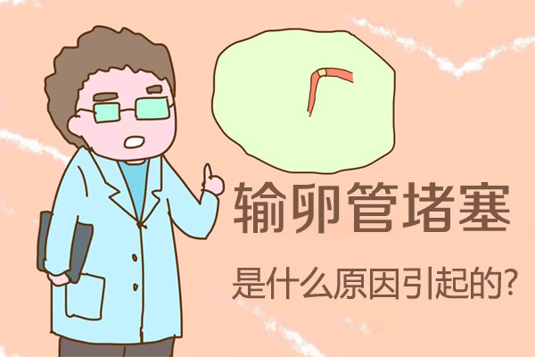 输卵管堵塞是什么原因引起的(图1)