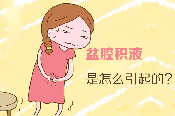 盆腔积液是怎么引起的(图1)