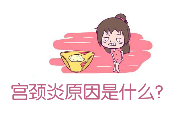 宫颈炎原因是什么(图1)