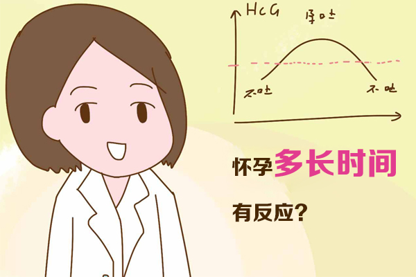 怀孕多长时间有反应(图1)