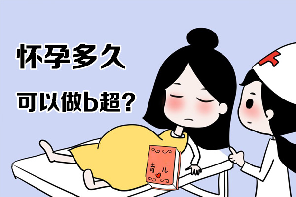 怀孕多久可以做b超(图1)